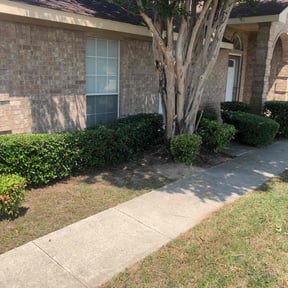 Bush Trimming by Eagle Electric Lawn Care reviewed on August 20, 2025