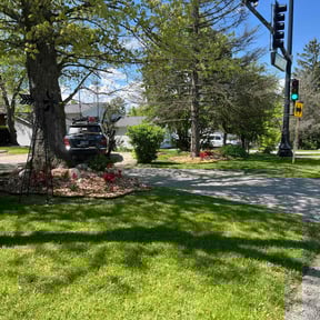 turf maintenance by Coastal Landscape Solutions reviewed on August 17, 2025