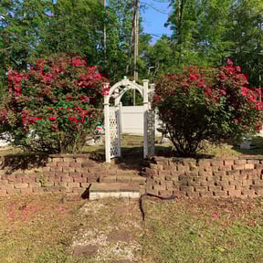 Bush Trimming by PJS Landscape and Design LLC reviewed on August 20, 2025