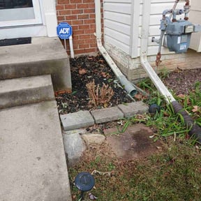 Bush Trimming by Cream of the Cut Lawn Care reviewed on November 19, 2025