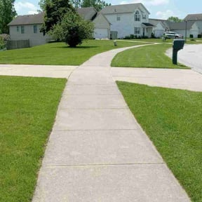gardening service by Best Value Lawn Care reviewed on August 21, 2025