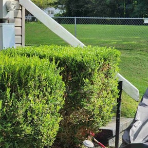 Bush Trimming by Advanced Home & Lawn Care LLC reviewed on August 18, 2025