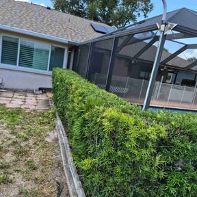 Bush Trimming by Andrews Landscaping reviewed on July 15, 2026