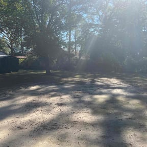 Leaf Removal by M&amp;M Lawn Service reviewed on October 2, 2025