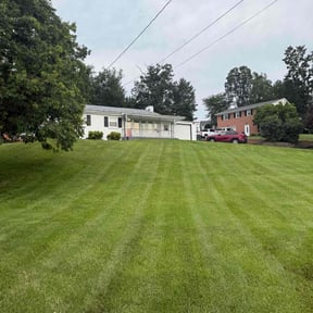 yard work by Blue Diamond Cleaning Services reviewed on August 21, 2025