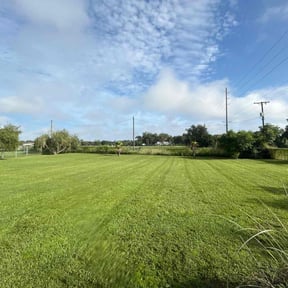 yard maintenance by RTH Lawn Service &amp; Landscaping LLC reviewed on November 24, 2025