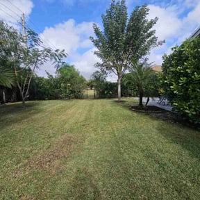 lawn maintenance by Richard Buricca reviewed on November 18, 2024