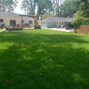 landscaping by Top Choice Lawn Care Plus reviewed on November 21, 2025