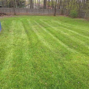 grass maintenance by Allen Quality Maintenance reviewed on March 1, 2024
