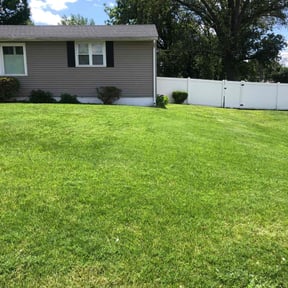 turf care by Lie=less llc reviewed on July 4, 2025