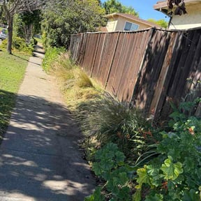 Flower Bed Weeding by Your Lawn Lawncare reviewed on March 14, 2026