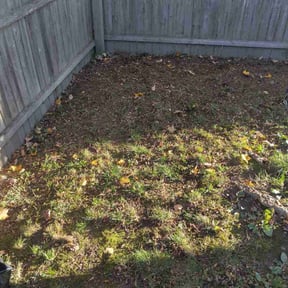 Leaf Removal by Earthly Home reviewed on October 21, 2025