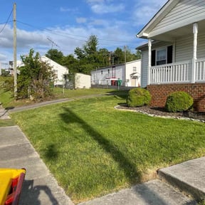 yard service by Taylor Made Lawncare reviewed on August 9, 2025