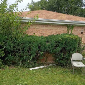 Bush Trimming by Kelly Roots Landscaping &amp; more reviewed on August 2, 2026