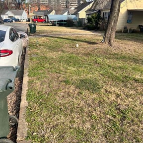 Leaf Removal by A&amp;L Lawncare reviewed on September 24, 2025