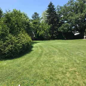 turf maintenance by Laureans landscaping LLC reviewed on February 19, 2024