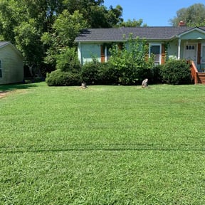 landscape maintenance by They see me mowing reviewed on August 20, 2025