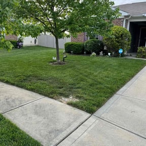landscape maintenance by Sage Landcrafters reviewed on August 21, 2025