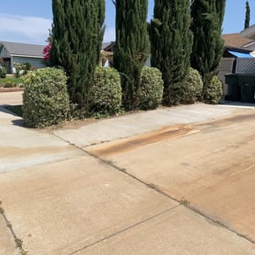 Bush Trimming by Eagle eye lawn care reviewed on August 17, 2025