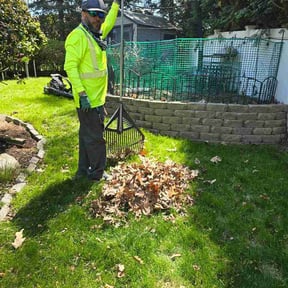 Leaf Removal by SJ Lawn Care reviewed on September 1, 2026