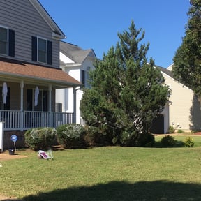 Bush Trimming by 12kids&i landscaping reviewed on August 15, 2025