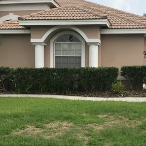 Bush Trimming by GreenMan Lawns reviewed on August 19, 2025