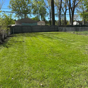 Leaf Removal by Clean Money Construction reviewed on May 17, 2026