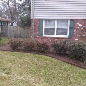 Bush Trimming by MVP Lawn & Landscaping reviewed on August 16, 2025