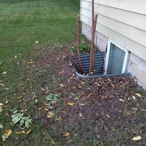 Bush Trimming by Rjm reviewed on October 19, 2025