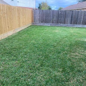 yard service by Leneirs Landscaping reviewed on August 19, 2025