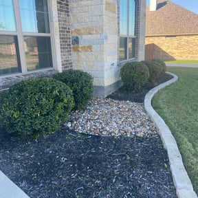 Bush Trimming by Andy landscaping reviewed on October 23, 2025