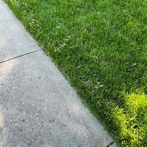 gardening service by Kayalscape reviewed on August 15, 2025