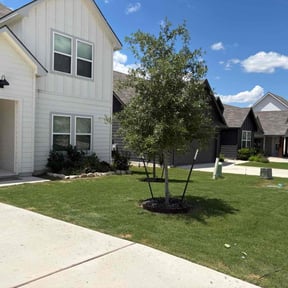 yard maintenance by Landscape Groomers,LLC reviewed on August 19, 2025