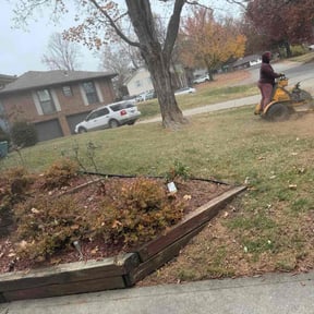 Leaf Removal by MVP Lawn &amp; Landscaping reviewed on November 23, 2025