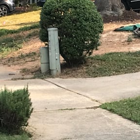 Bush Trimming by Jhon's Landscaping reviewed on August 18, 2025
