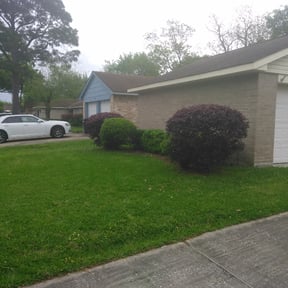 Bush Trimming by Gus & Gio landscaping company reviewed on August 21, 2025