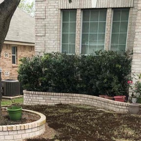 Bush Trimming by Live in Peace Lawn Care Service reviewed on August 16, 2025
