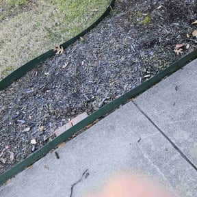 Flower Bed Weeding by Above & Beyond Lawncare reviewed on August 16, 2025