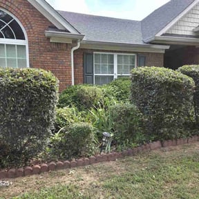Bush Trimming by Mount Zion Landscaping and Maintenance reviewed on August 15, 2025