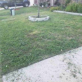 Bush Trimming by Everything you need LLC reviewed on August 17, 2025