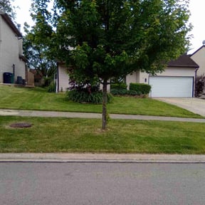 landscaping by Shelly lawn service reviewed on August 21, 2025