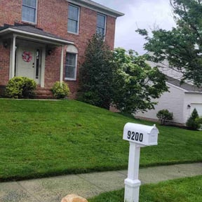 landscape maintenance by CW Home Improvement reviewed on August 21, 2025