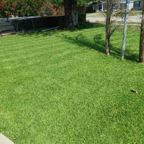 lawn care services by Anton Lawn Care reviewed on March 26, 2024