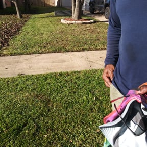 Leaf Removal by EV Great Valley Landscaping,LLC. reviewed on September 9, 2025