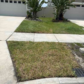 Flower Bed Weeding by Dunn it all while Dustin competition reviewed on July 31, 2026