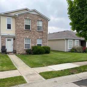 yard service by Wright Pro Services reviewed on August 17, 2025