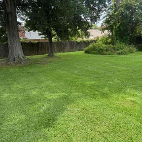 landscape maintenance by Forever Green FG LLC reviewed on February 18, 2026