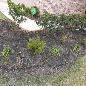 Flower Bed Weeding by Kings Komplete Lawn and Home Care Services reviewed on August 16, 2025