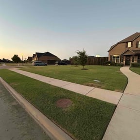 landscaping services by Lawn In Order reviewed on August 17, 2025
