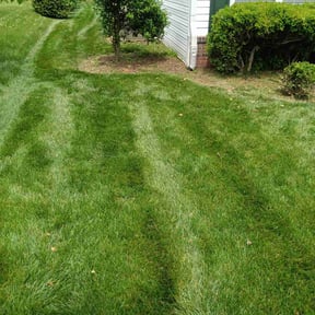 landscaping services by Ridgewood Landscape Management llc. reviewed on August 18, 2025